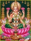 Mahalakshmi Vegetarian Hotel 